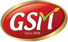 GSM